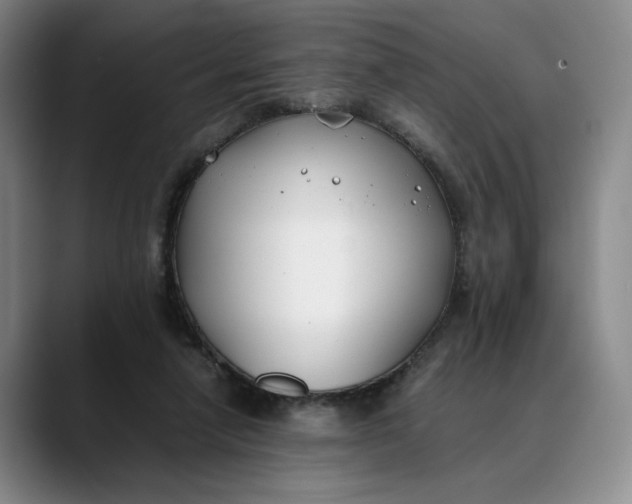 X0000088680258200706141359