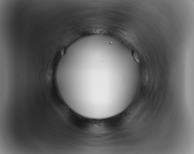 X0000088680263200706141359