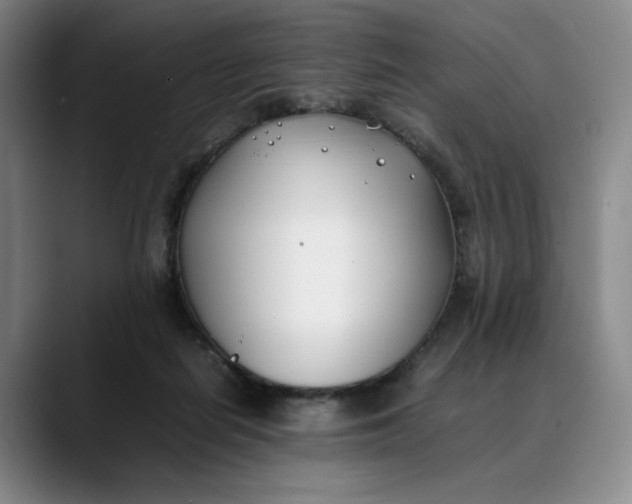 X0000088680266200706141400