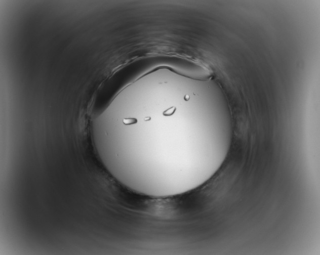 X0000088680273200706141400
