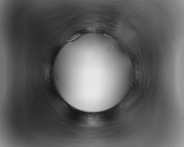 X0000088680275200706141400