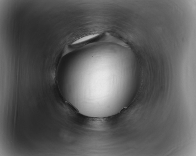 X0000088680288200706141400