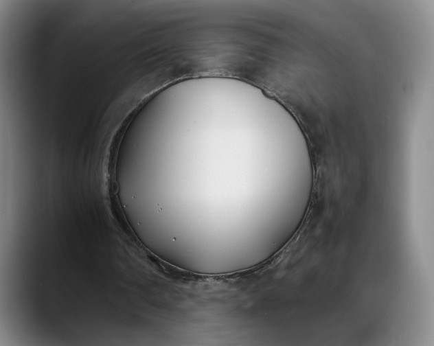 X0000088680290200706141359