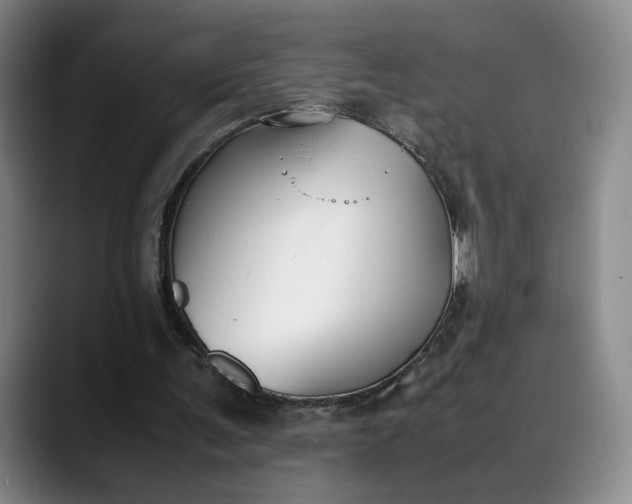 X0000088680291200706141359