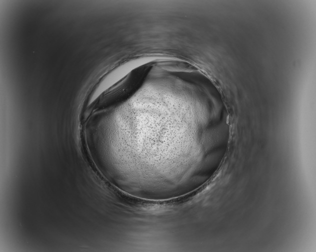 X0000088680293200706141359