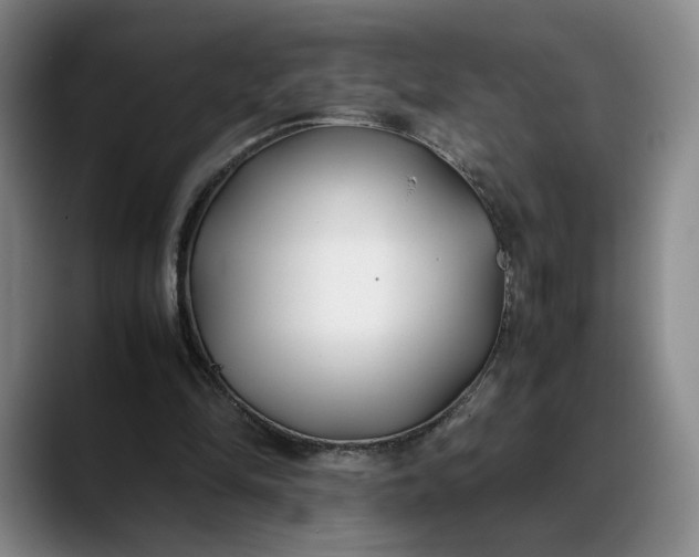 X0000088680294200706141359