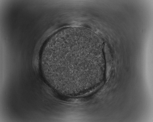 X0000088680295200706141359