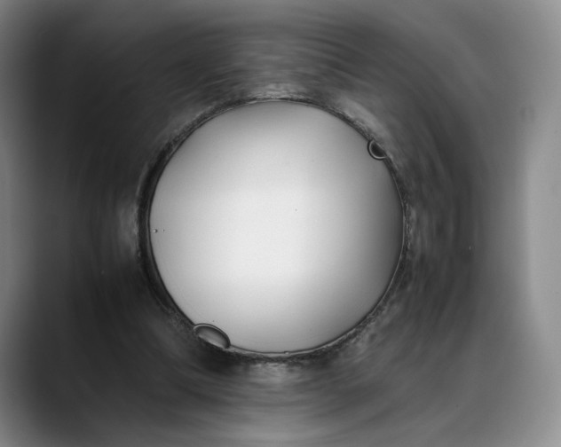 X0000088680298200706141359