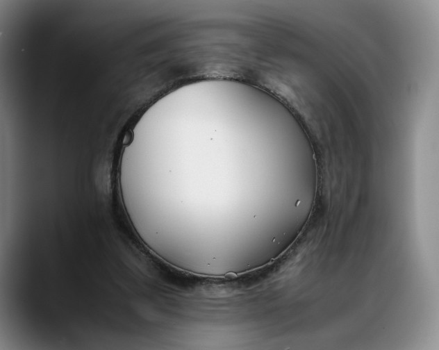 X0000088680299200706141359