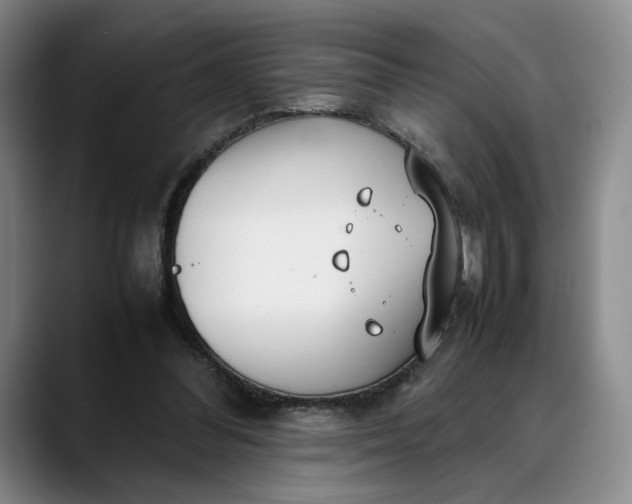 X0000088680300200706141359