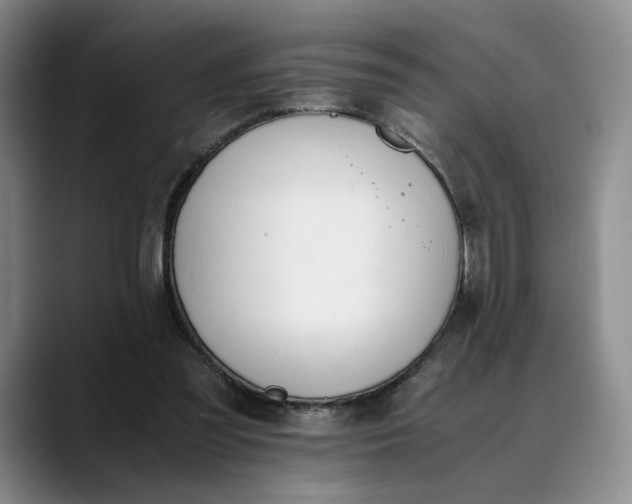 X0000088680301200706141359