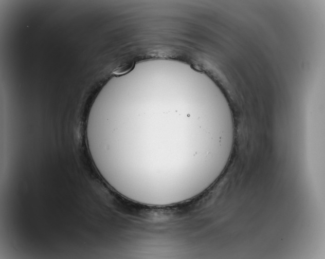 X0000088680305200706141359