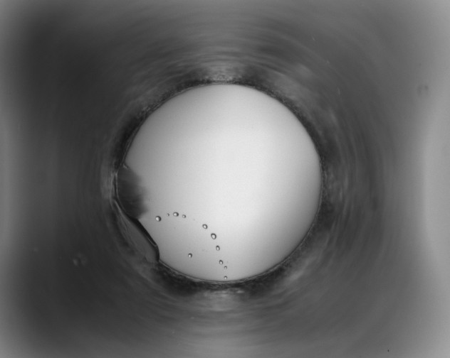 X0000088680307200706141359