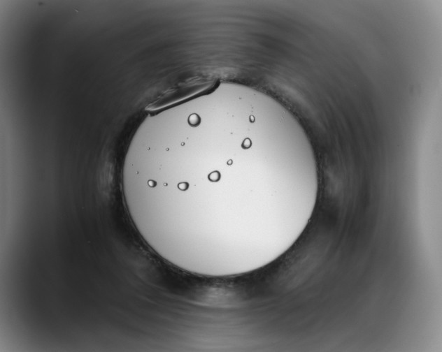 X0000088680308200706141359