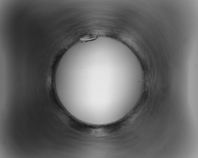 X0000088680309200706141359