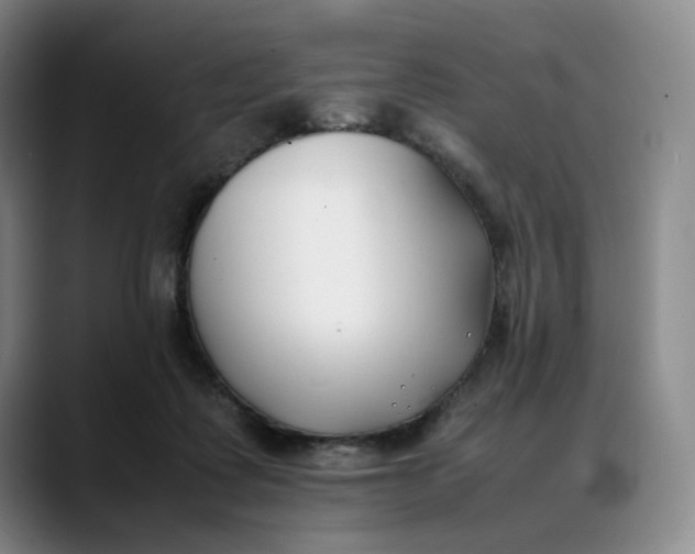 X0000088680315200706141359