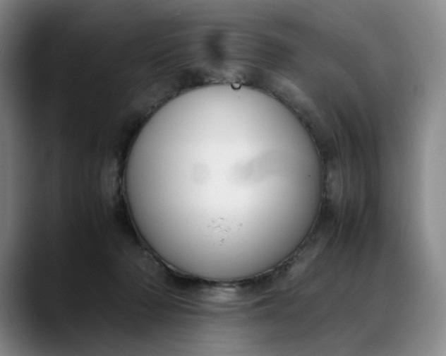 X0000088680318200706141359