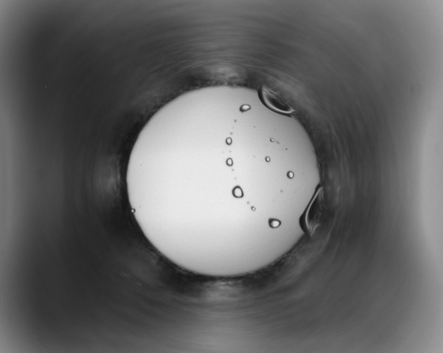 X0000088680320200706141359