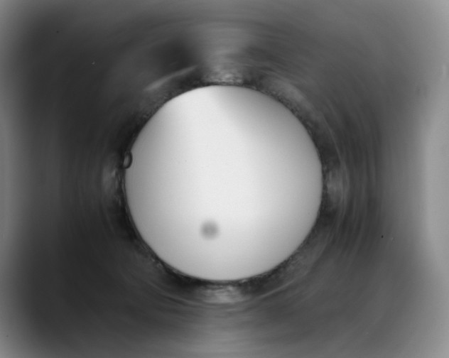 X0000088680322200706141359