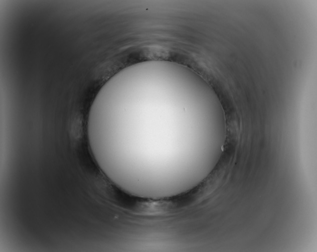 X0000088680323200706141359