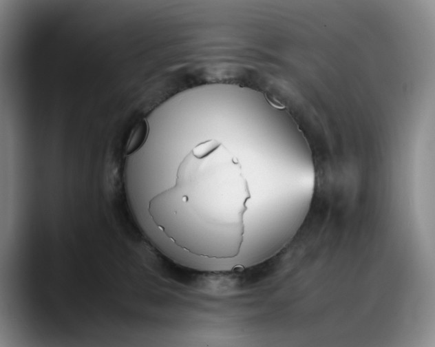 X0000088680327200706141359