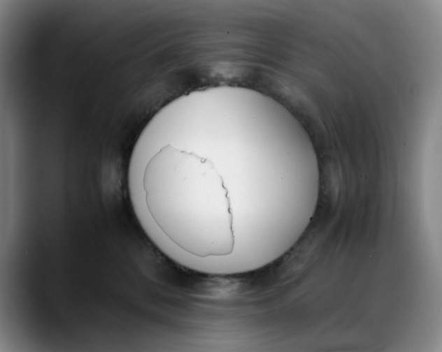 X0000088680328200706141359