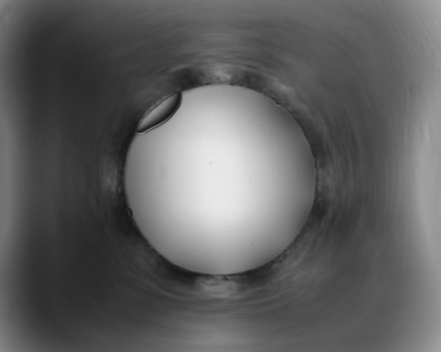 X0000088680331200706141359