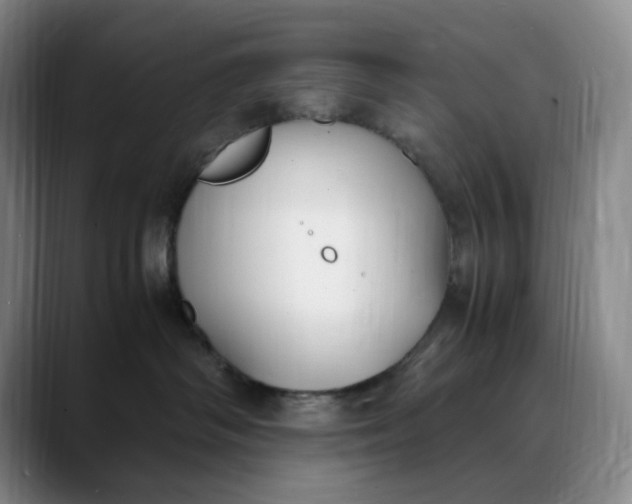 X0000088680334200706141359