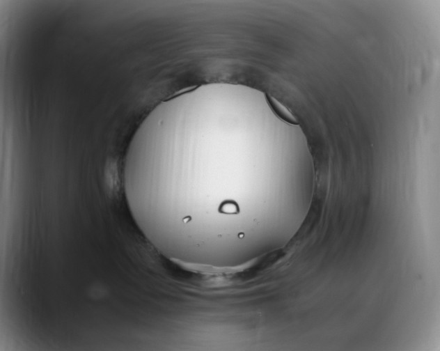 X0000088680335200706141359