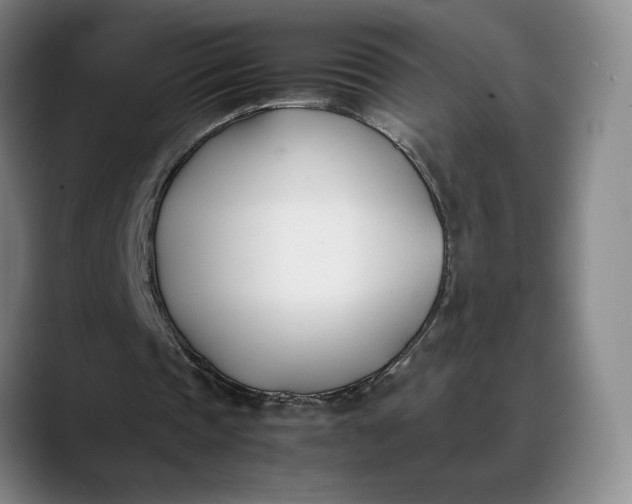X0000088680337200706141358