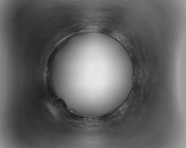 X0000088680338200706141358