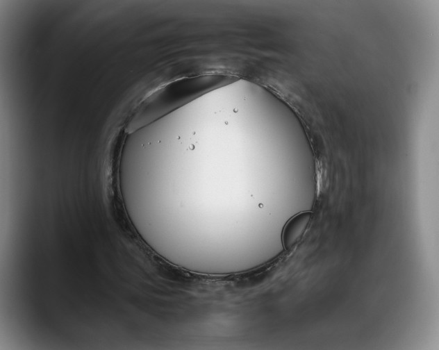 X0000088680339200706141358
