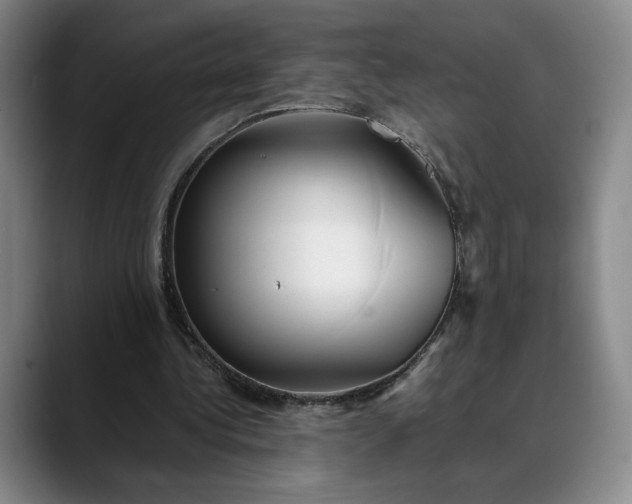 X0000088680340200706141358