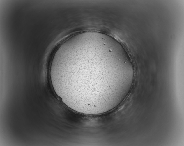 X0000088680343200706141358