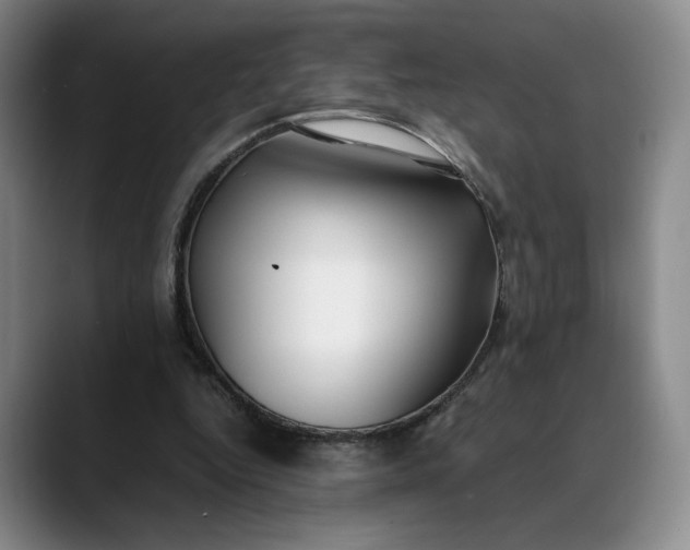 X0000088680344200706141358