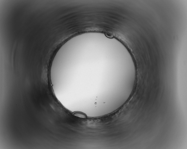 X0000088680345200706141358