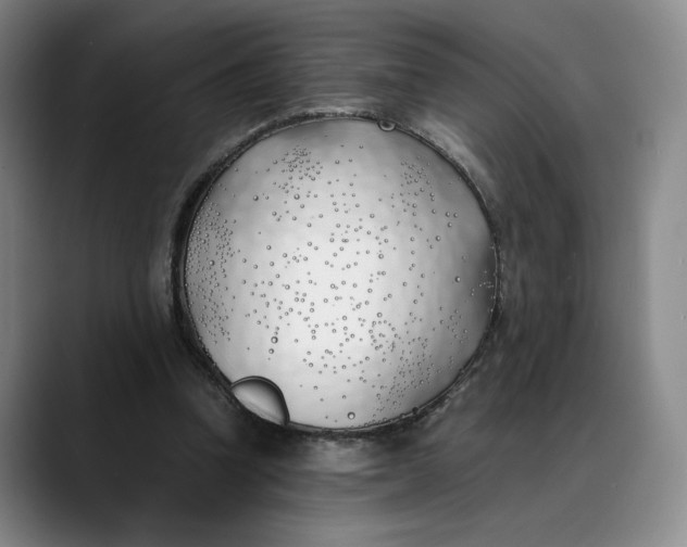 X0000088680346200706141358