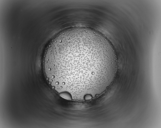 X0000088680347200706141358