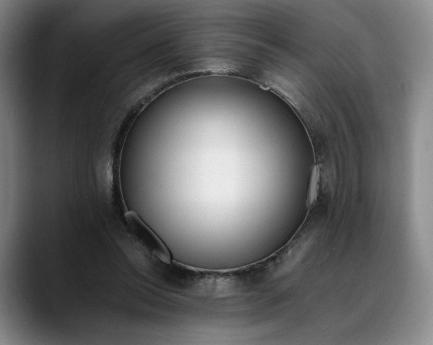 X0000088680350200706141358