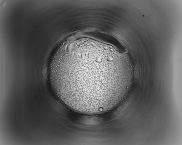 X0000088680351200706141358