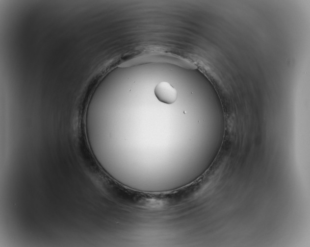 X0000088680352200706141358