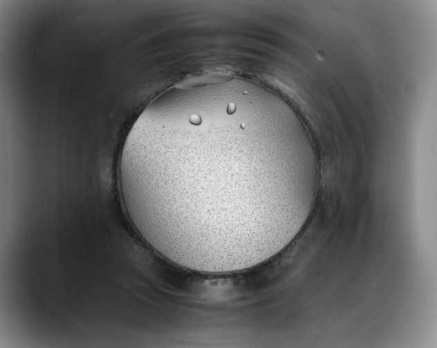 X0000088680353200706141358