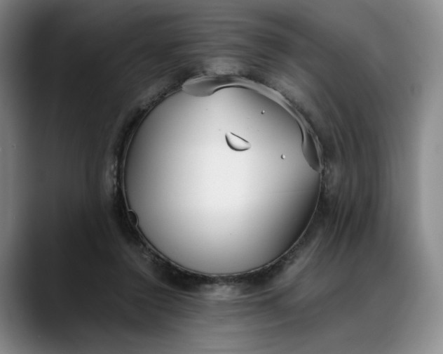 X0000088680356200706141358