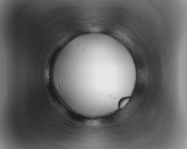 X0000088680358200706141358