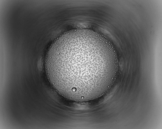 X0000088680359200706141358