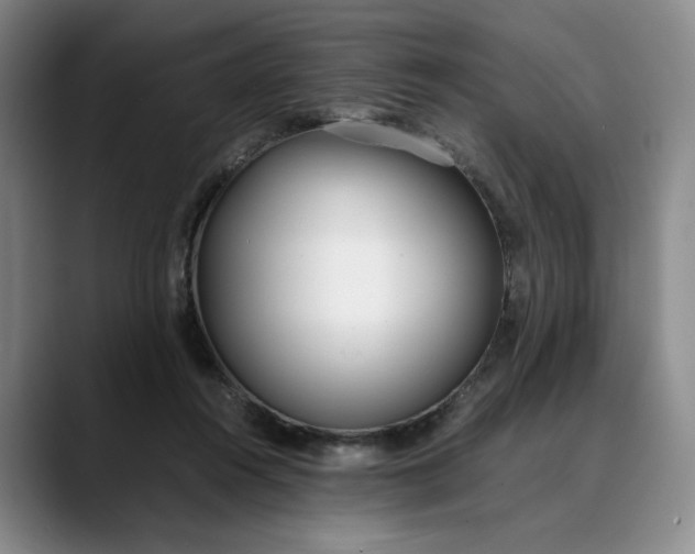 X0000088680360200706141358