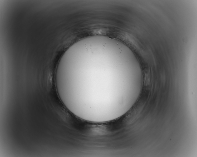 X0000088680363200706141358