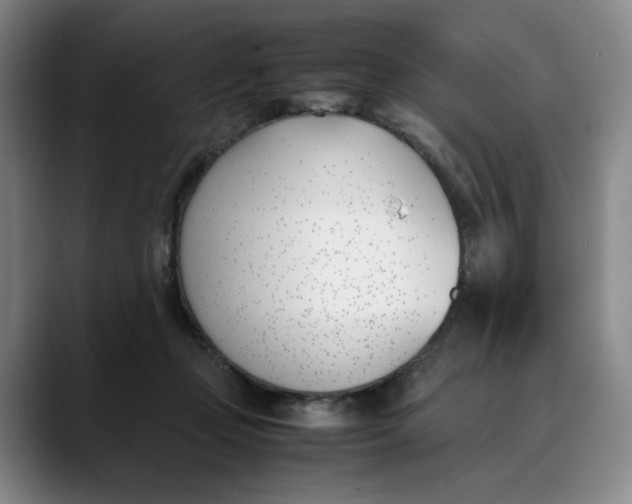 X0000088680365200706141358