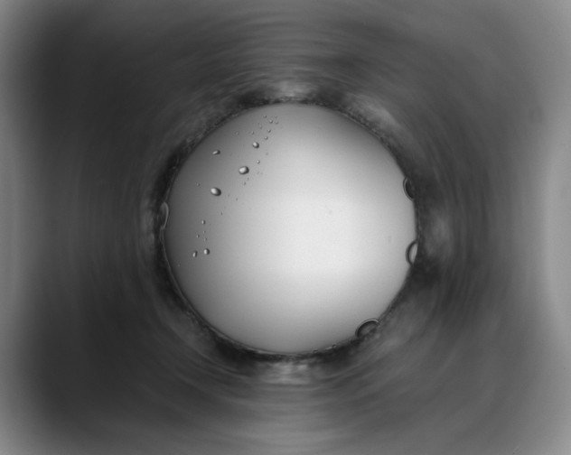 X0000088680366200706141358