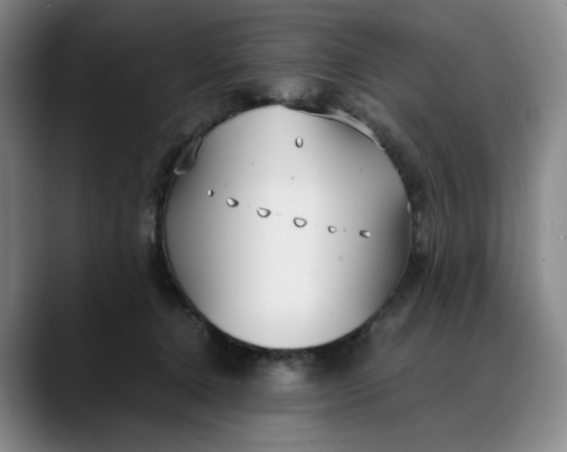 X0000088680368200706141358